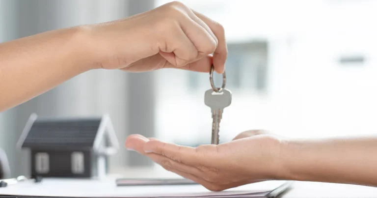 ideal construction nedumkandam