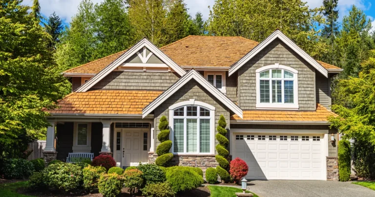 ideal construction nedumkandam