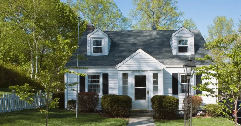 ideal construction nedumkandam