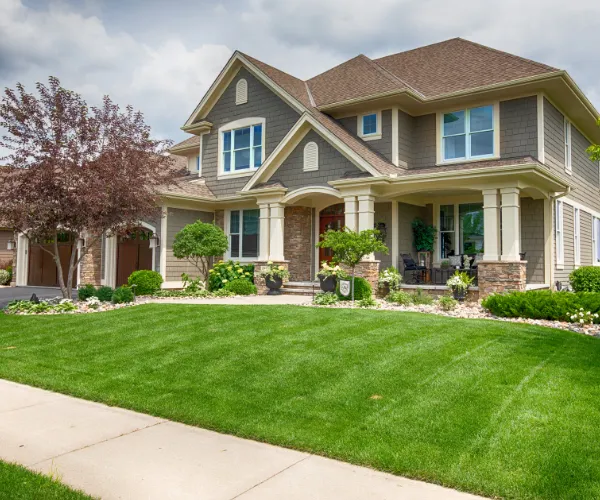 ideal construction nedumkandam